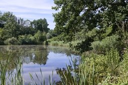 Lieux mystiques (1/7): La réserve naturelle d’Auried, lieu de vie et de mort