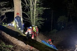 Trois blessés graves dans un ravin à Cheyres