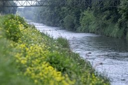 La limite de construction pourrait disparaître