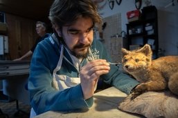 Ce Fribourgeois a trouvé comment vivre de sa passion pour l’art et les animaux