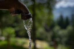 Hauterive: des arbres pour protéger les captages d'eau à la Tuffière