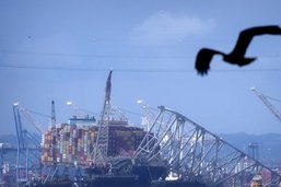 Le porte-conteneurs du pont de Baltimore renfloué et remorqué